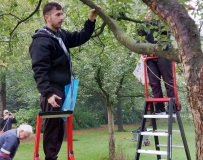 Appels plukken op Landgoed Bosch en Vaart