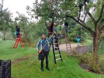 Appels plukken op Landgoed Bosch en Vaart