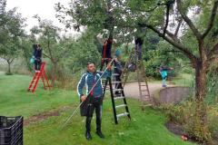 Appels plukken op Landgoed Bosch en Vaart