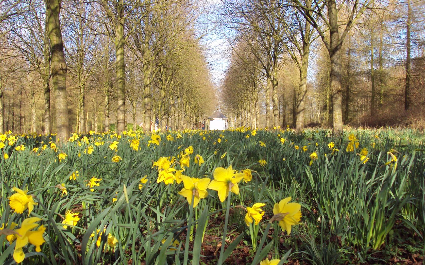 bosch-en-vaart-tuin-lente bosch-en-vaart-tuin-lente